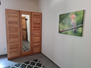 Master bedroom 2 closet