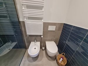 toilet and bidet